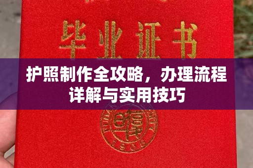 金堂护照制作全攻略，办理流程详解与实用技巧