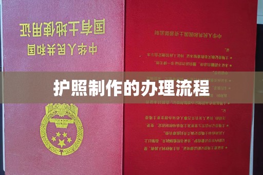 柳林护照制作的办理流程